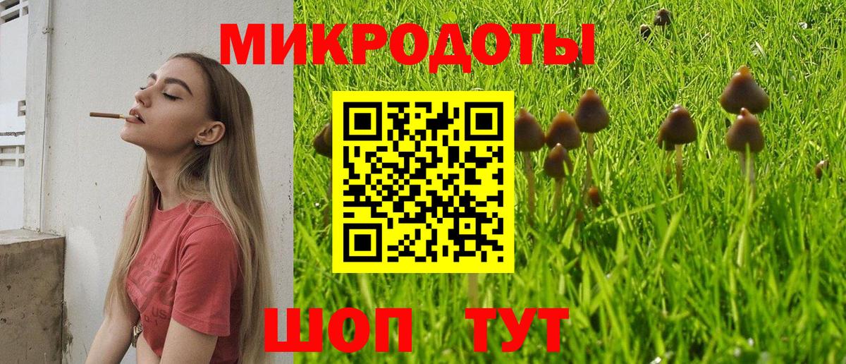 Псилоцибиновые грибы MAGIC MUSHROOMS Нальчик