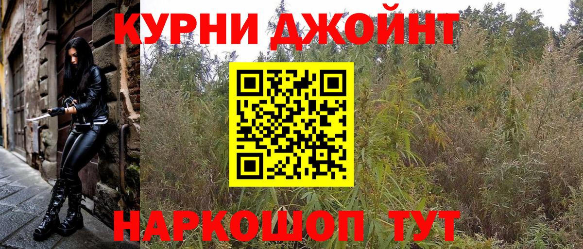 Конопля сатива Нальчик